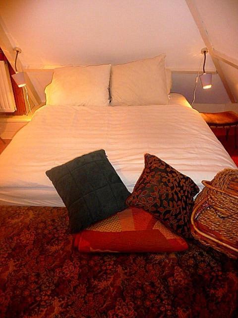 Bed & Breakfast Zomerdijk 3*